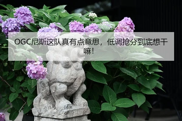 OGC尼斯这队真有点意思，低调抢分到底想干嘛！