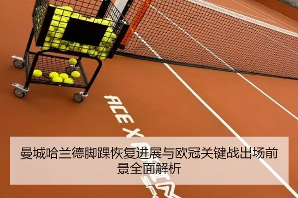 曼城哈兰德脚踝恢复进展与欧冠关键战出场前景全面解析