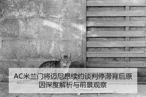 AC米兰门将迈尼昂续约谈判停滞背后原因深度解析与前景观察